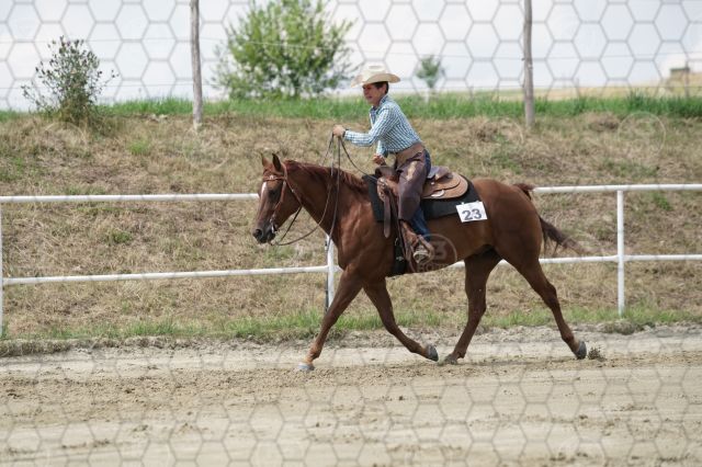 s_K3F06788.JPG